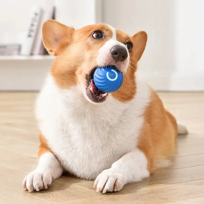 Dog Smart Toy Ball