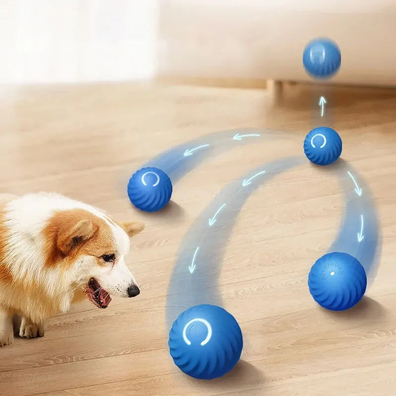 Dog Smart Toy Ball