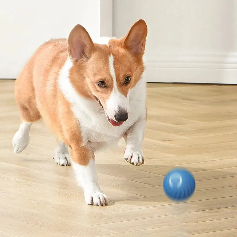 Dog Smart Toy Ball