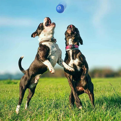 Dog Smart Toy Ball