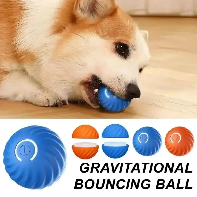 Dog Smart Toy Ball