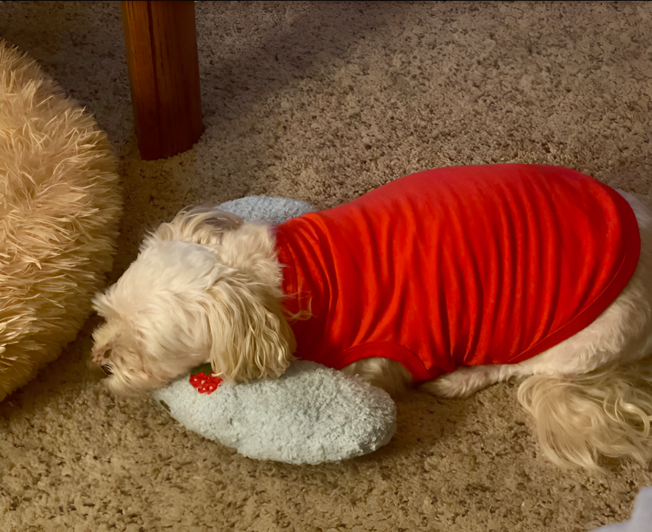 Dog Anxiety Pillow